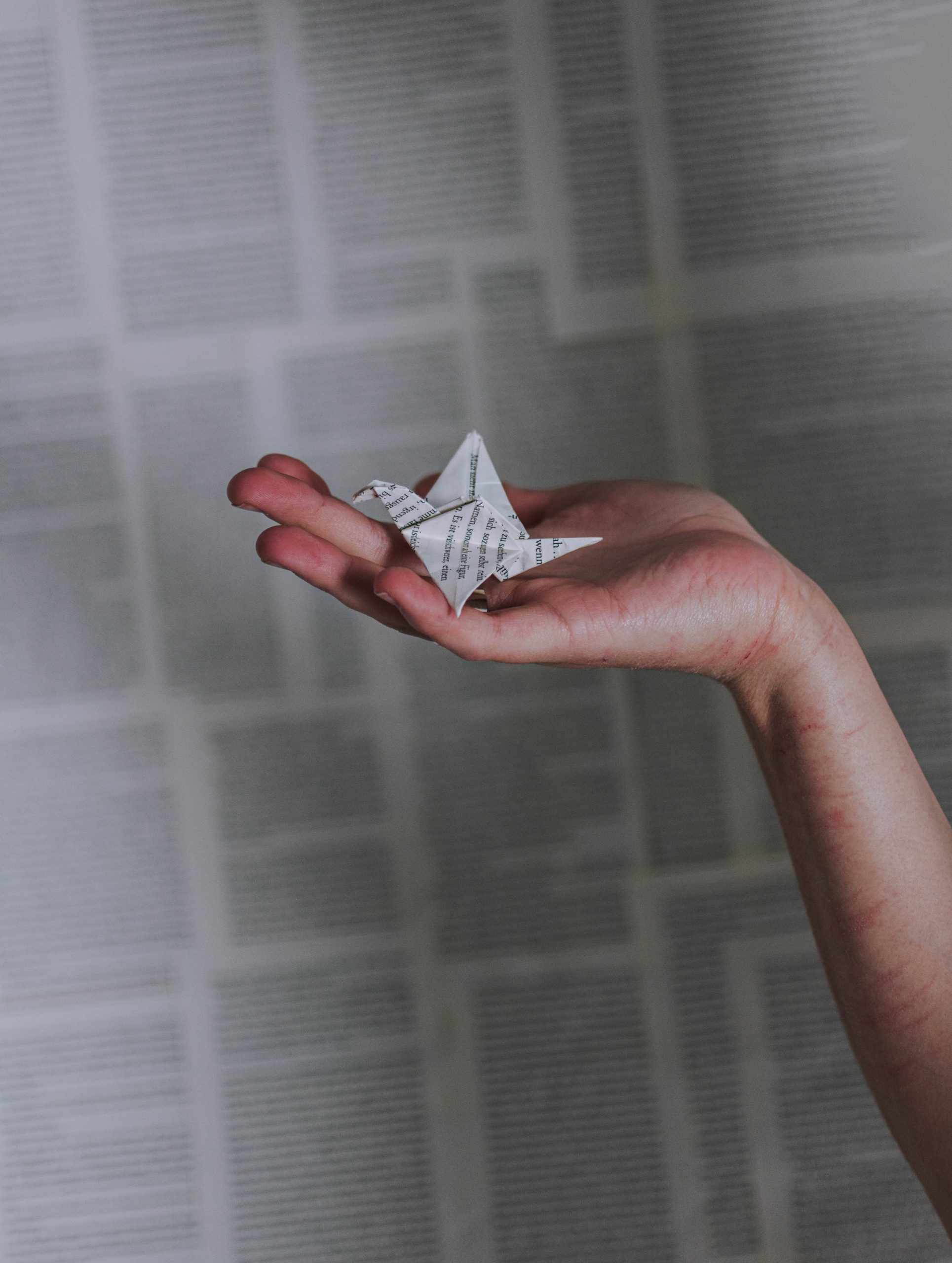 lilartsy-LsB0OLB083A-unsplash relatos personalizados - relatos con alma